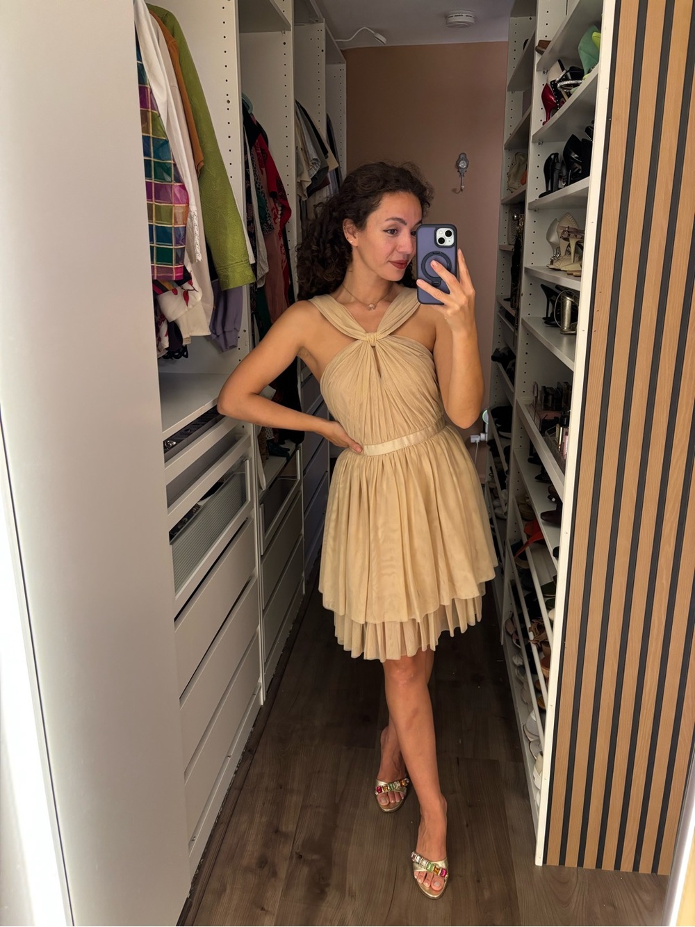Club Monaco ruffle sheer pleated dress 4